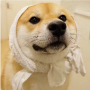 侯小爷
