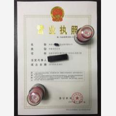 深圳市商务会展有限公司