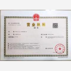 深圳市人力资源有限公司